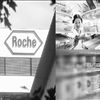 跨國醫(yī)藥巨頭：夢想能否變成現(xiàn)實(shí)？